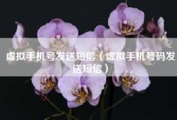 虚拟手机号发送短信（虚拟手机号码发送短信）