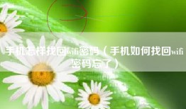 手机怎样找回wifi密码（手机如何找回wifi密码忘了）