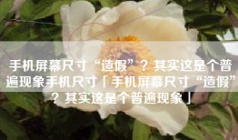 手机屏幕尺寸“造假”？其实这是个普遍现象手机尺寸「手机屏幕尺寸“造假”？其实这是个普遍现象」