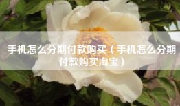 手机怎么分期付款购买（手机怎么分期付款购买淘宝）