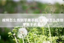 视频怎么传到苹果手机（视频怎么传到苹果手机上）