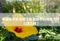 电脑给手机充电（电脑给手机充电为什么这么慢）