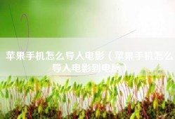 苹果手机怎么导入电影（苹果手机怎么导入电影到电脑）