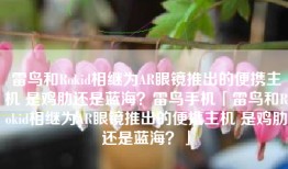 雷鸟和Rokid相继为AR眼镜推出的便携主机 是鸡肋还是蓝海？雷鸟手机「雷鸟和Rokid相继为AR眼镜推出的便携主机 是鸡肋还是蓝海？」