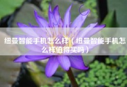 纽曼智能手机怎么样（纽曼智能手机怎么样值得买吗）