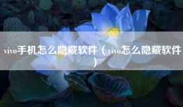 vivo手机怎么隐藏软件（vivo怎么隐藏软件）