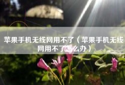 苹果手机无线网用不了（苹果手机无线网用不了怎么办）