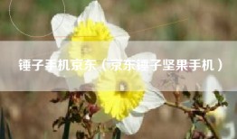 锤子手机京东（京东锤子坚果手机）