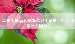 苹果手机app闪退怎么办（苹果手机app闪退怎么回事）