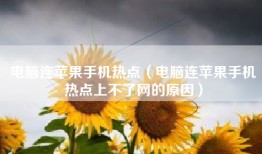 电脑连苹果手机热点（电脑连苹果手机热点上不了网的原因）