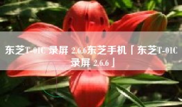 东芝T-01C 录屏 2.6.6东芝手机「东芝T-01C 录屏 2.6.6」