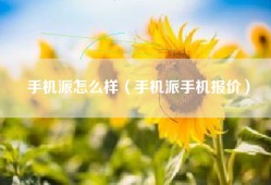 手机派怎么样（手机派手机报价）