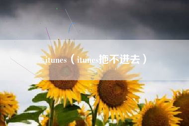 itunes（itunes拖不进去）