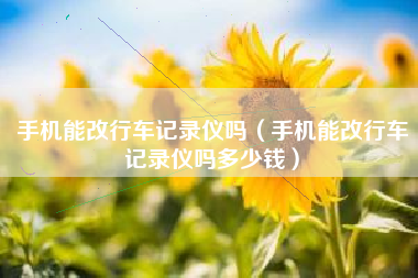 手机能改行车记录仪吗（手机能改行车记录仪吗多少钱）