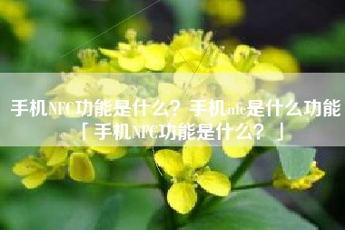 手机NFC功能是什么？手机nfc是什么功能「手机NFC功能是什么？」