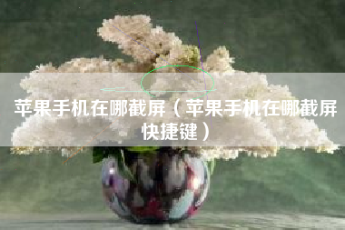 苹果手机在哪截屏（苹果手机在哪截屏快捷键）