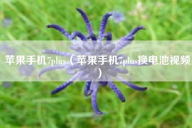 苹果手机7plus（苹果手机7plus换电池视频）