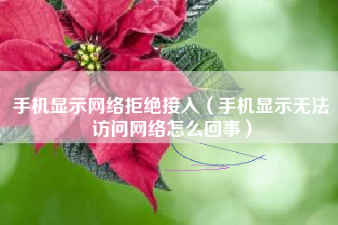 手机显示网络拒绝接入（手机显示无法访问网络怎么回事）