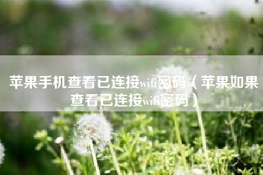 苹果手机查看已连接wifi密码（苹果如果查看已连接wifi密码）