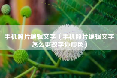 手机照片编辑文字（手机照片编辑文字怎么更改字体颜色）