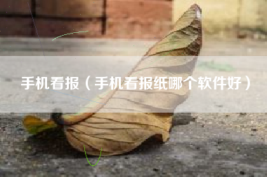 手机看报（手机看报纸哪个软件好）